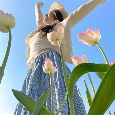 星蝶公主第三季